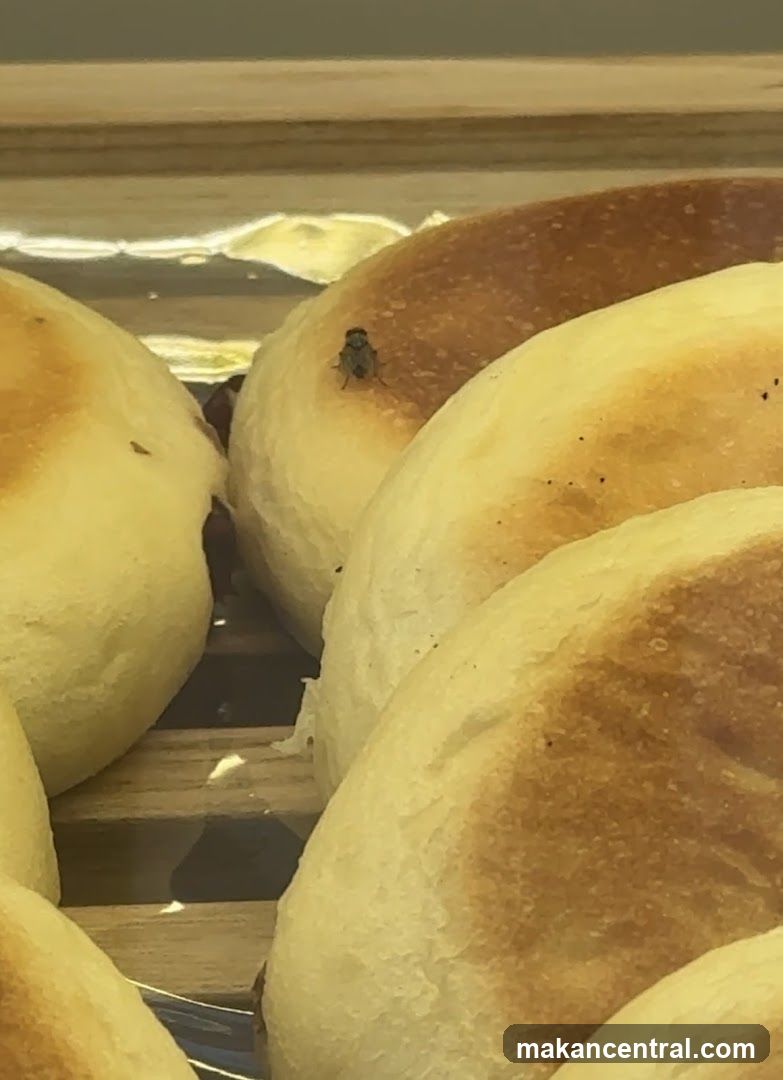 Fly on bread rolls