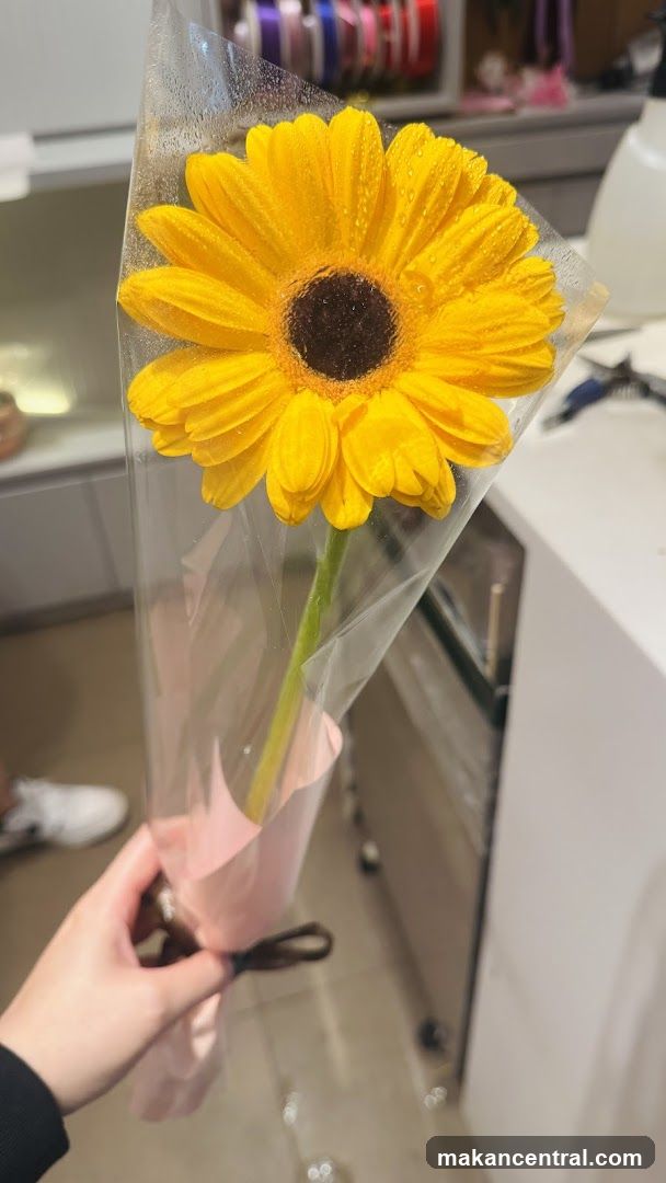 Single Yellow Gerbera Daisy