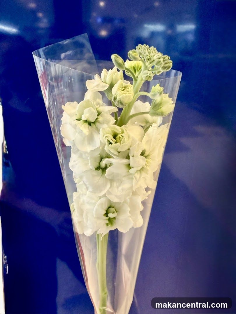 White Flowers in Plastic Wrap