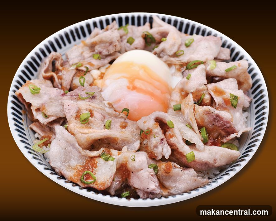 Pork and Egg Rice Bowl