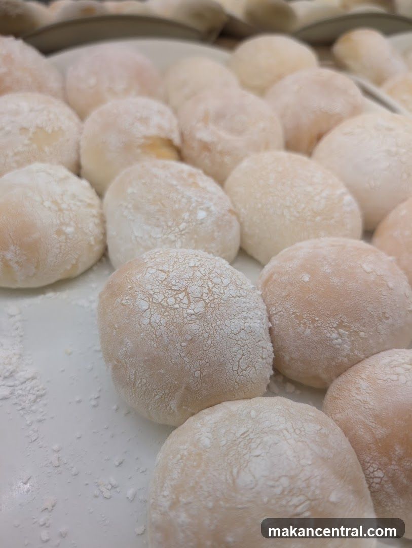 Mochi