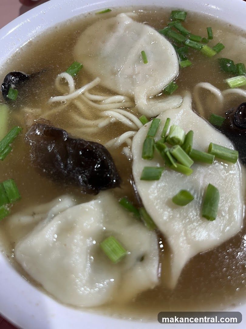Dumpling Soup