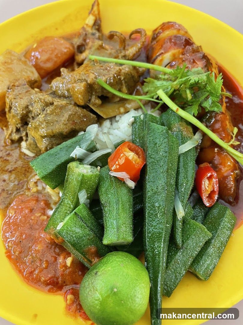 Curry Rice with Squid and Meat