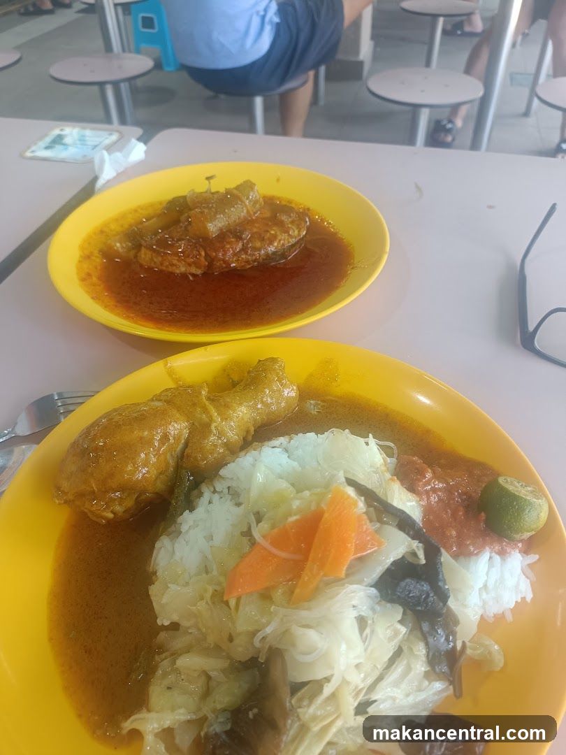 Curry dishes with rice