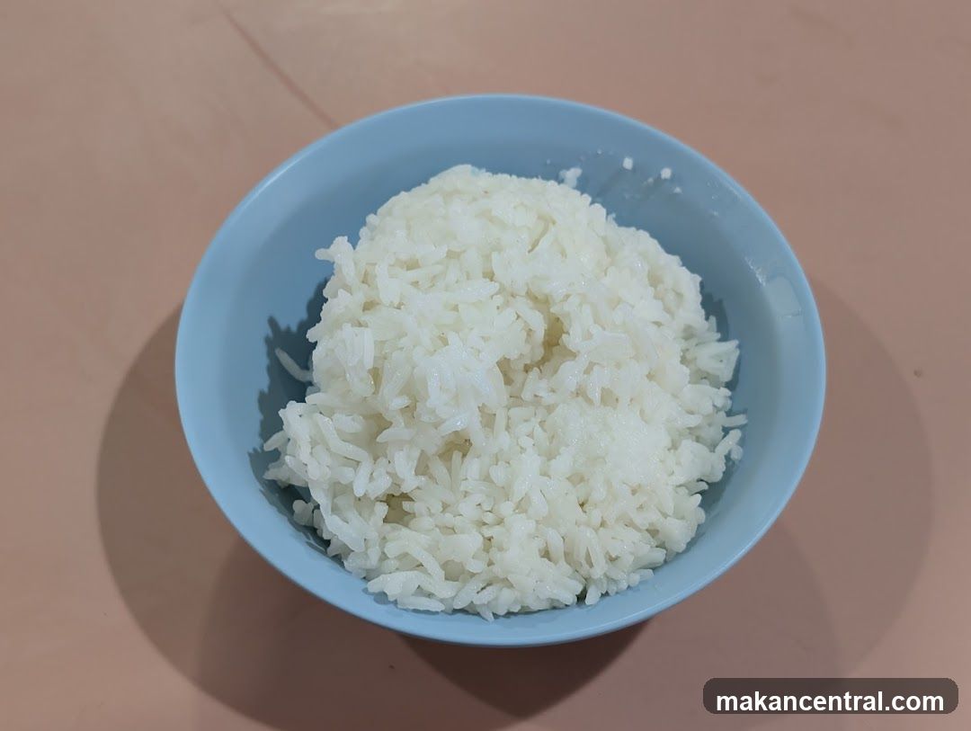 Bowl of Rice