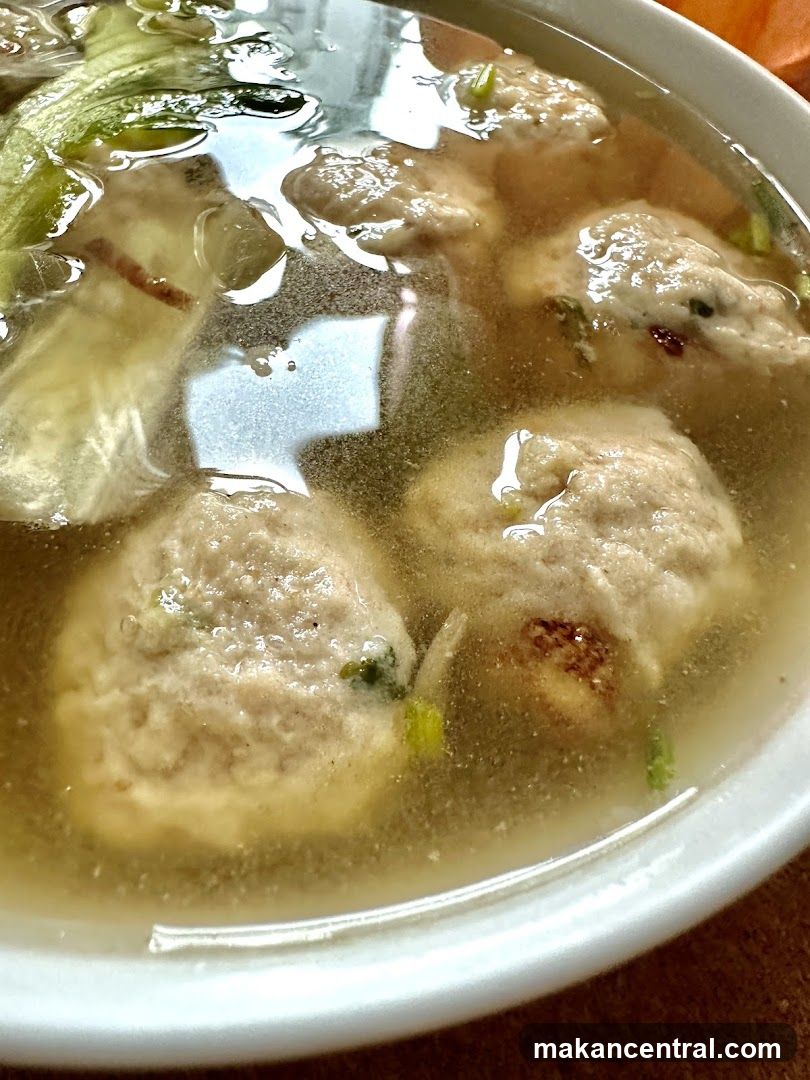 Meatball Soup