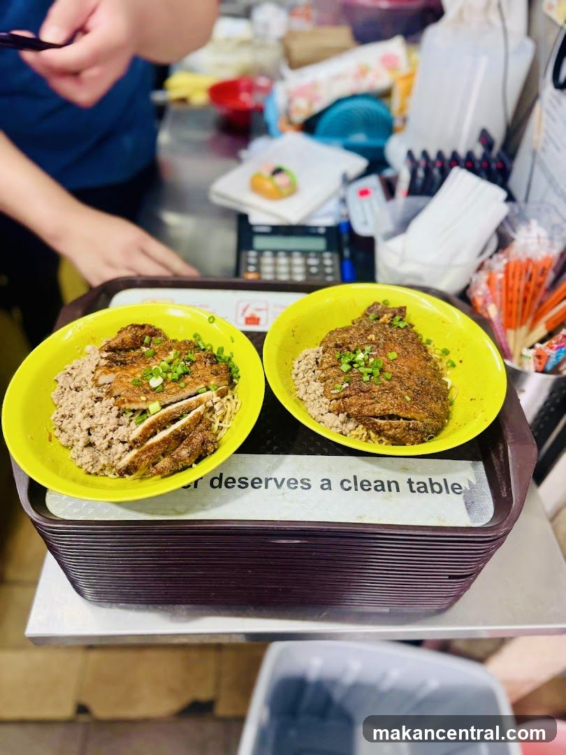 Two Bowls of Noodles with Meat