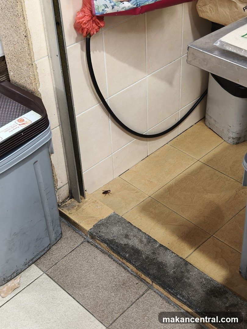 Cockroach on floor