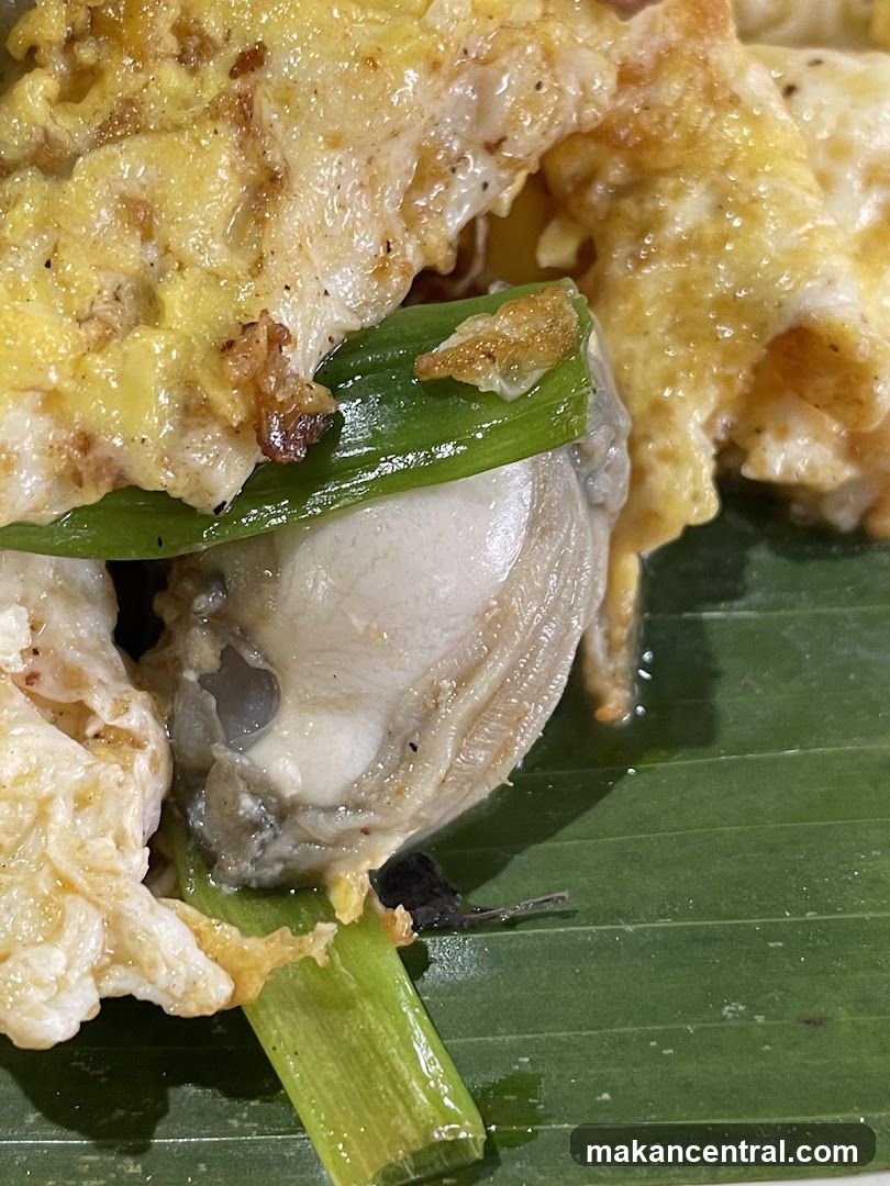 Oyster omelet