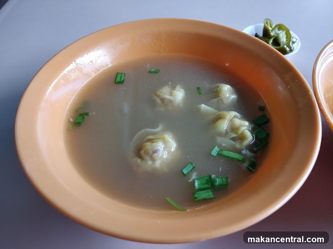 Wonton Soup