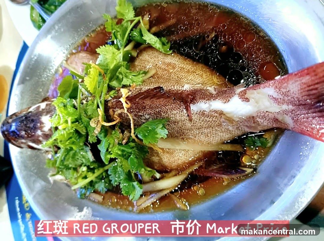 Steamed Red Grouper