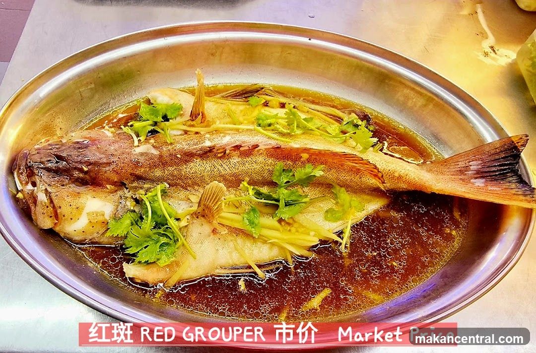 Steamed Red Grouper