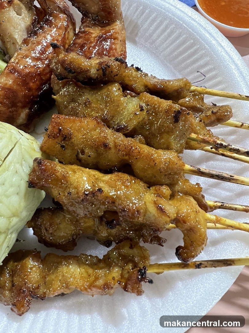 Chicken Satay and Wings