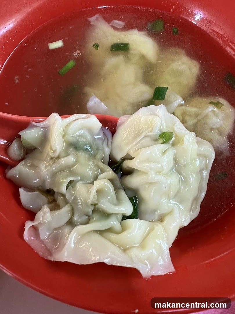 Wonton Soup