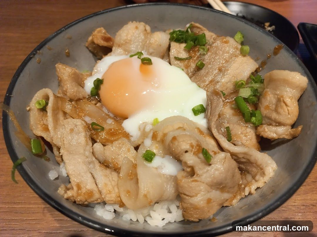 Pork and Egg Rice Bowl