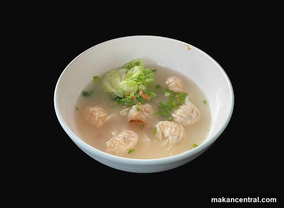 Wonton Soup