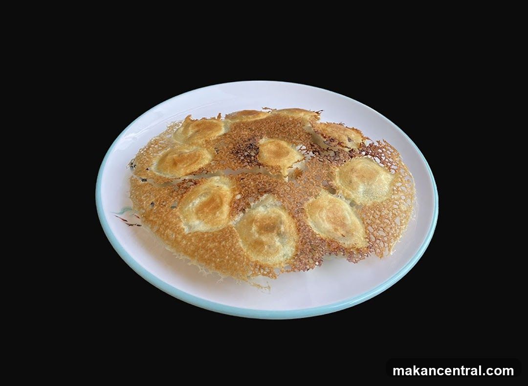 Pan-fried dumplings
