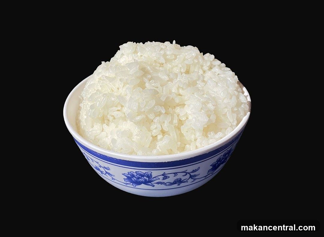 Bowl of Rice