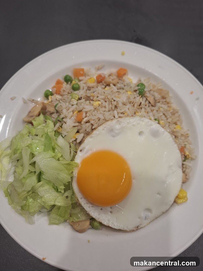 Fried Rice with Egg and Salad