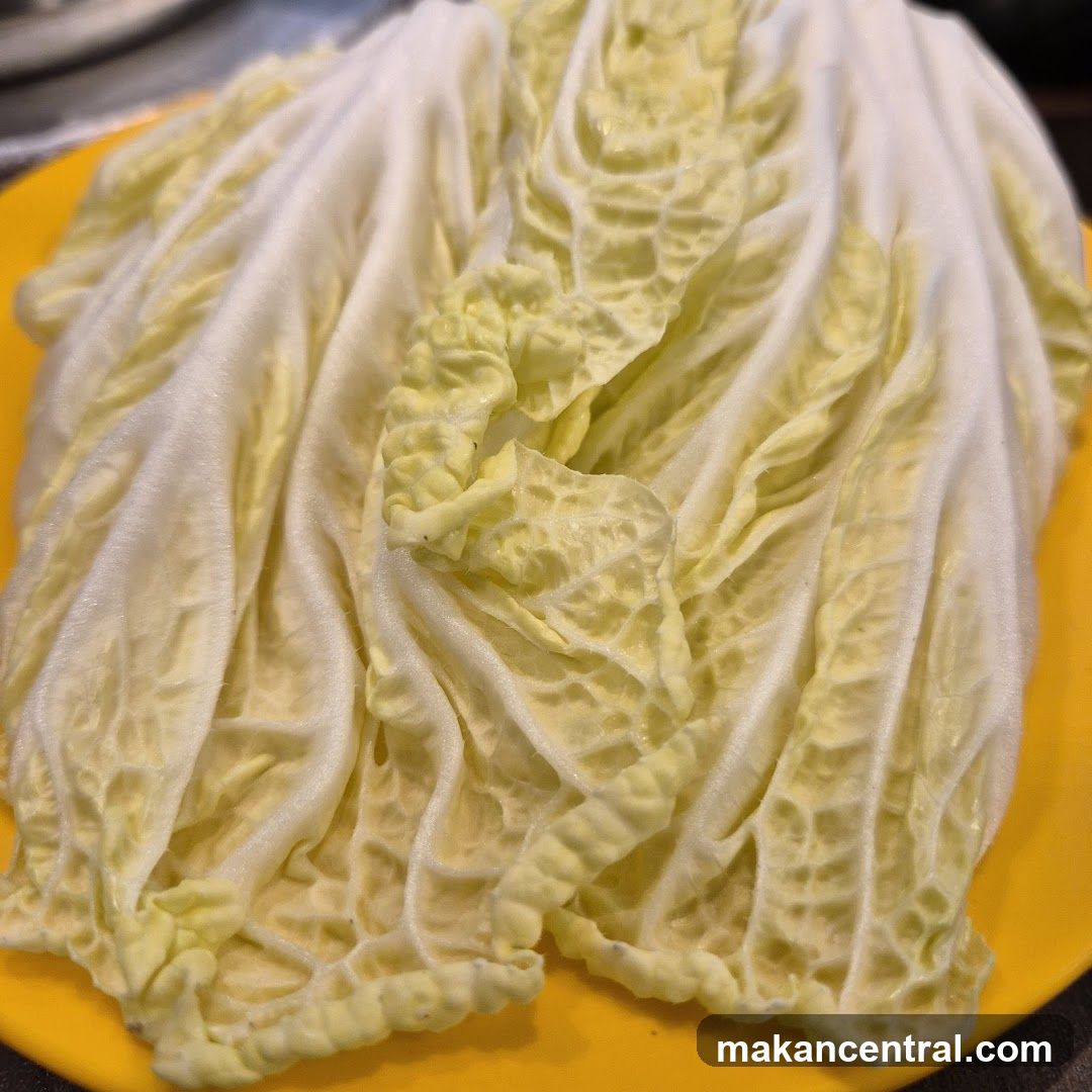 Napa Cabbage Leaf