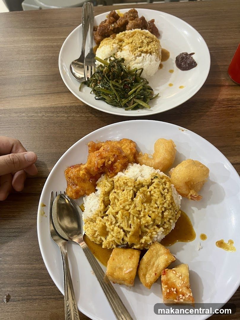 Two plates of rice with various toppings