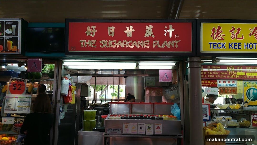The Sugarcane Plant