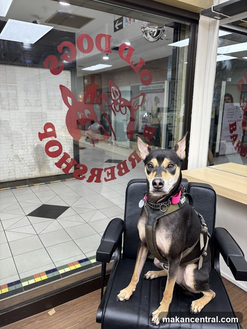 Old Dogs Barbershop
