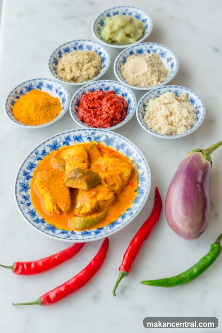 Fish Curry with Ingredients