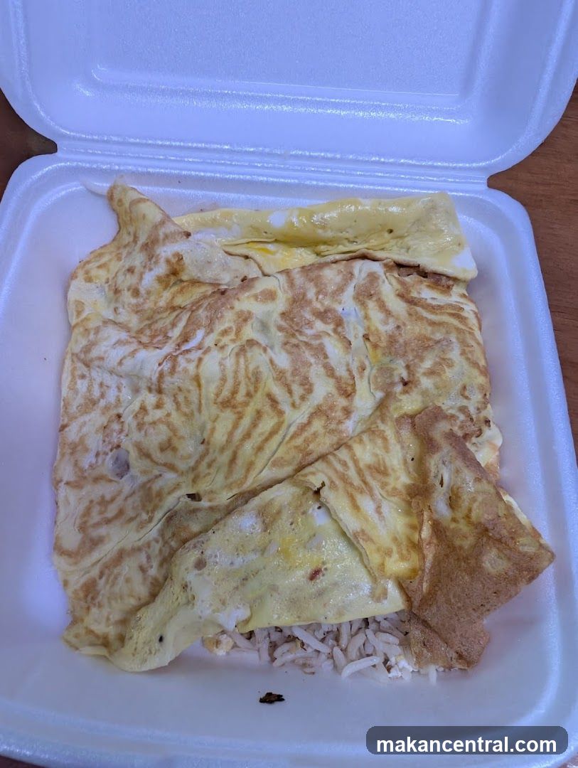 Omelet over rice
