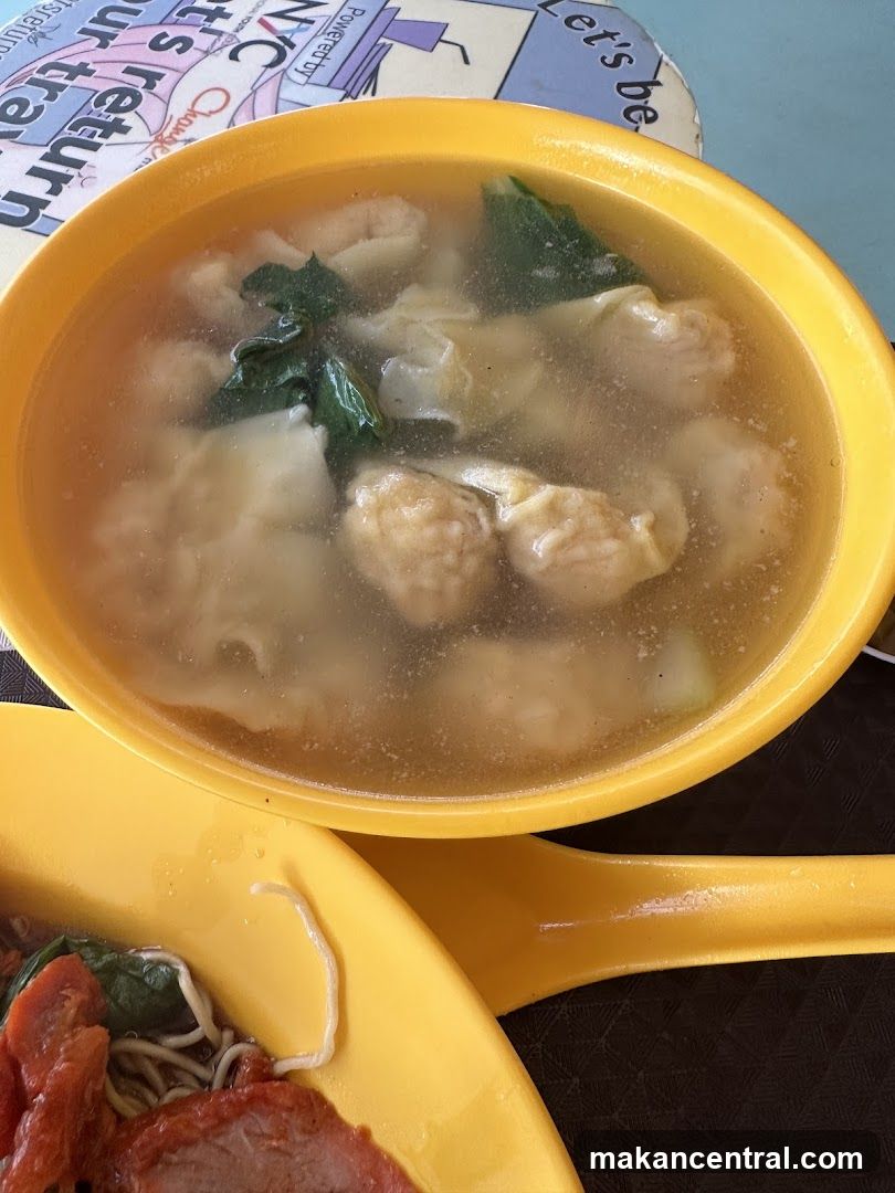 Wonton Soup and Noodles