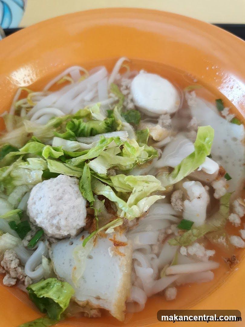 Noodle Soup