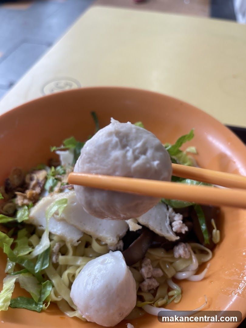 Noodles with Fish Balls