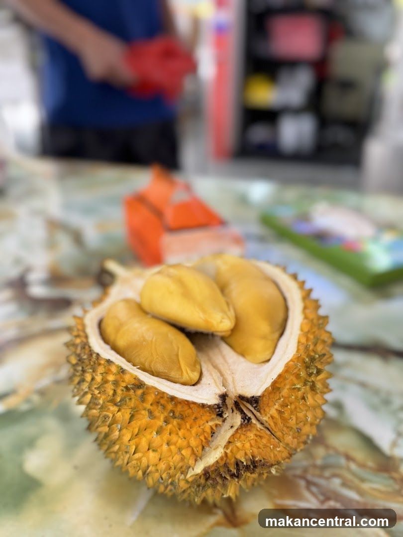 City Fruits 2