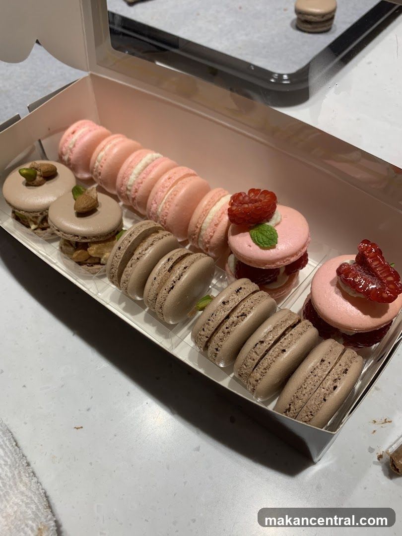 Assorted Macarons
