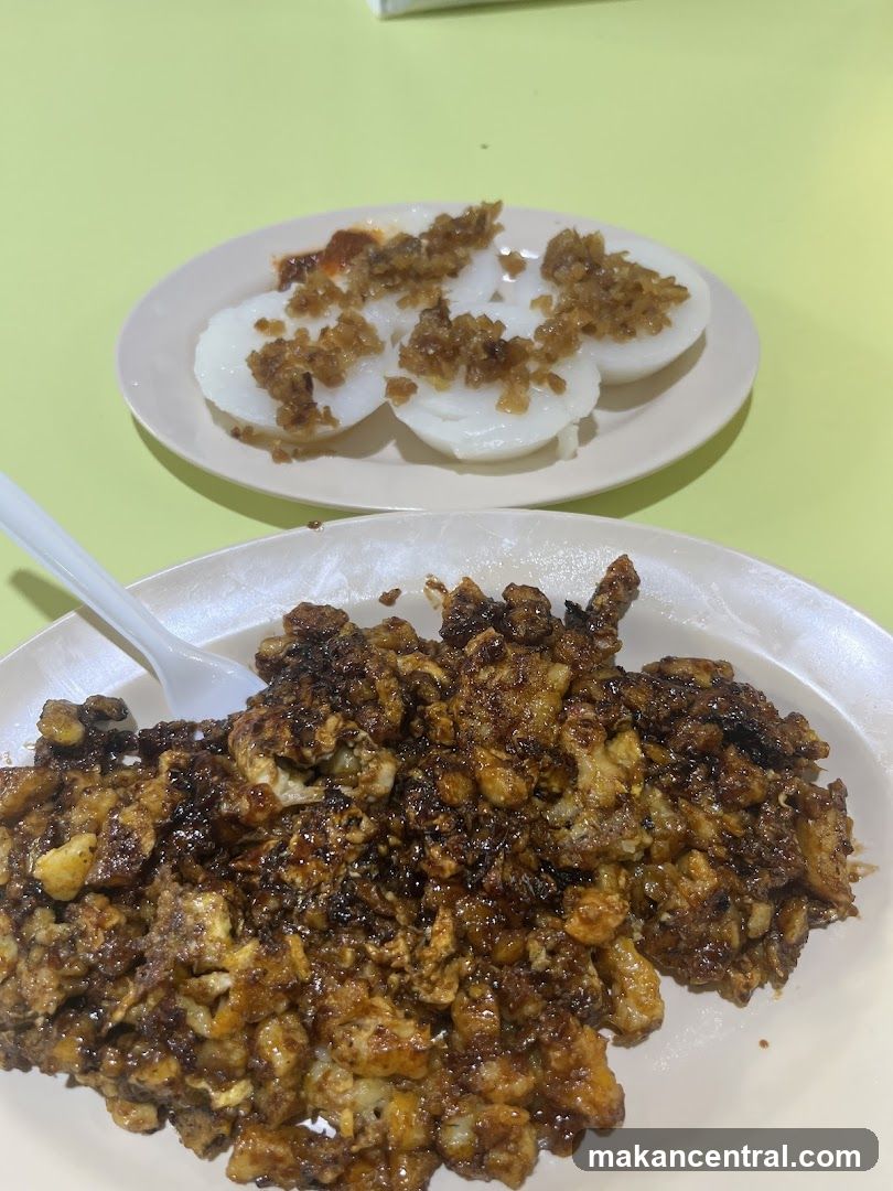Fried Carrot Cake and Steamed Rice Cakes
