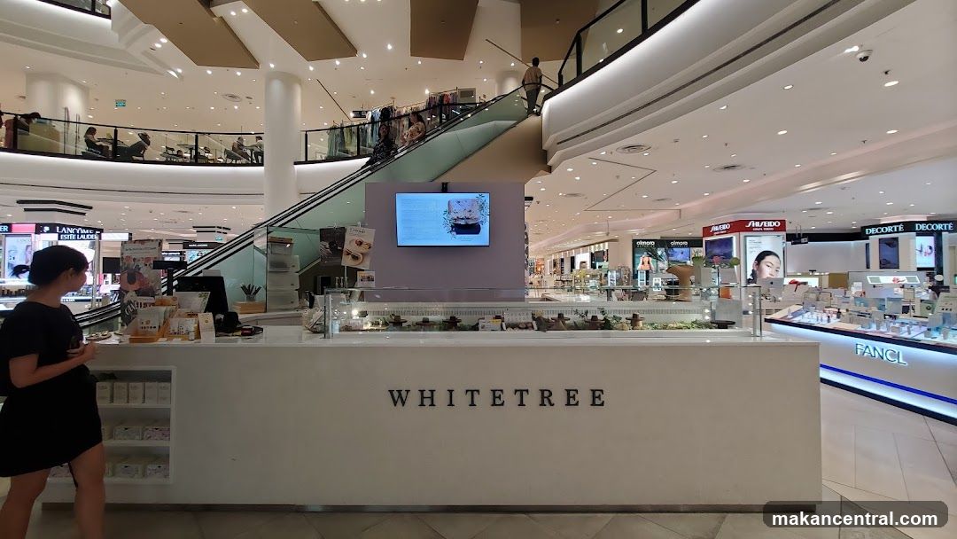 Mall Interior with Retail Displays