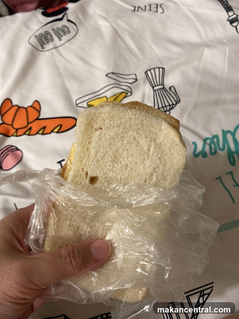 Sandwich in Plastic Wrap