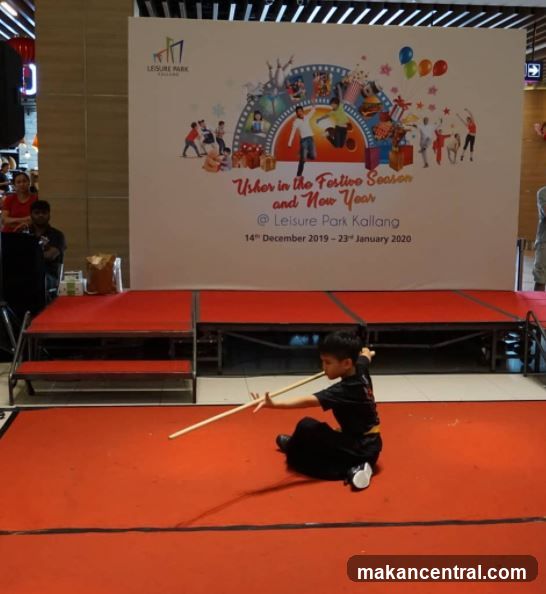 Martial Arts Performance