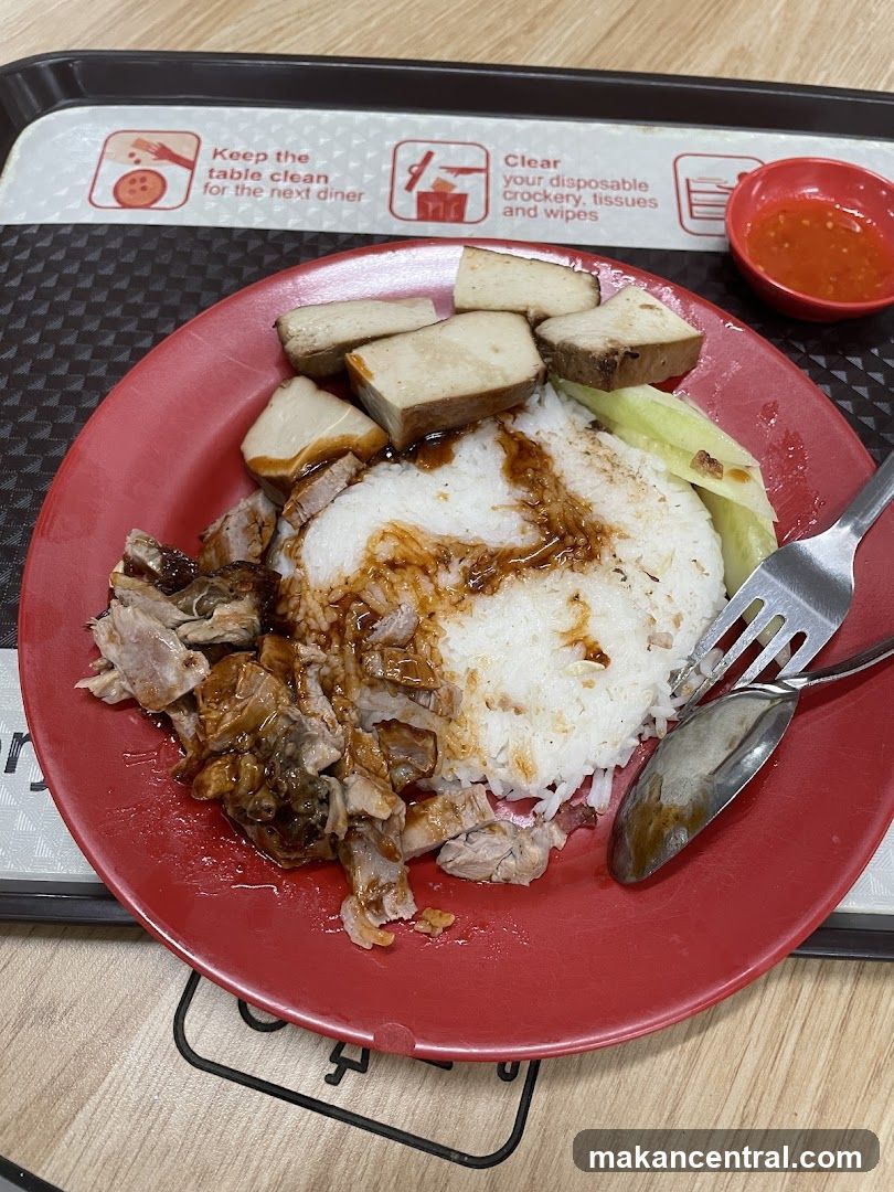 Plate of Rice with Meat and Tofu