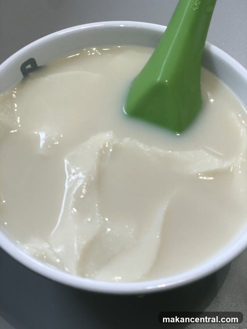 Soy Pudding