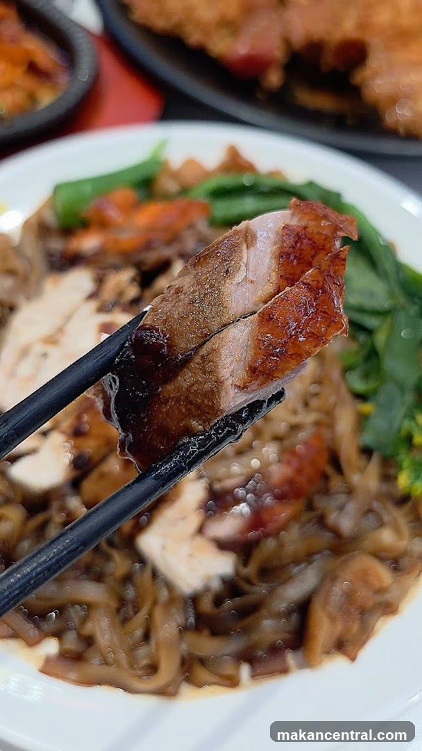 Roasted Duck Noodles