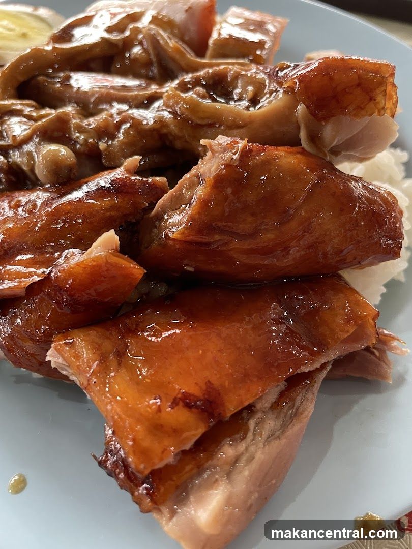 Roast Duck and Rice