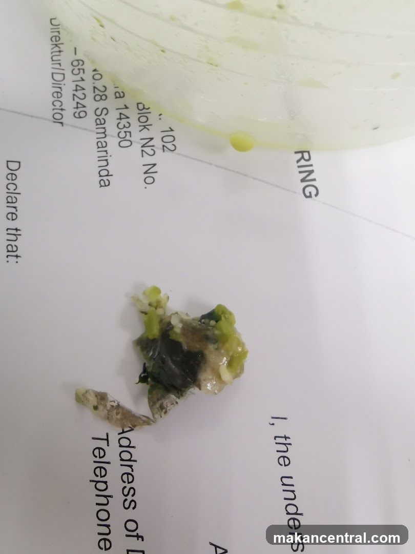 Food Debris on Document