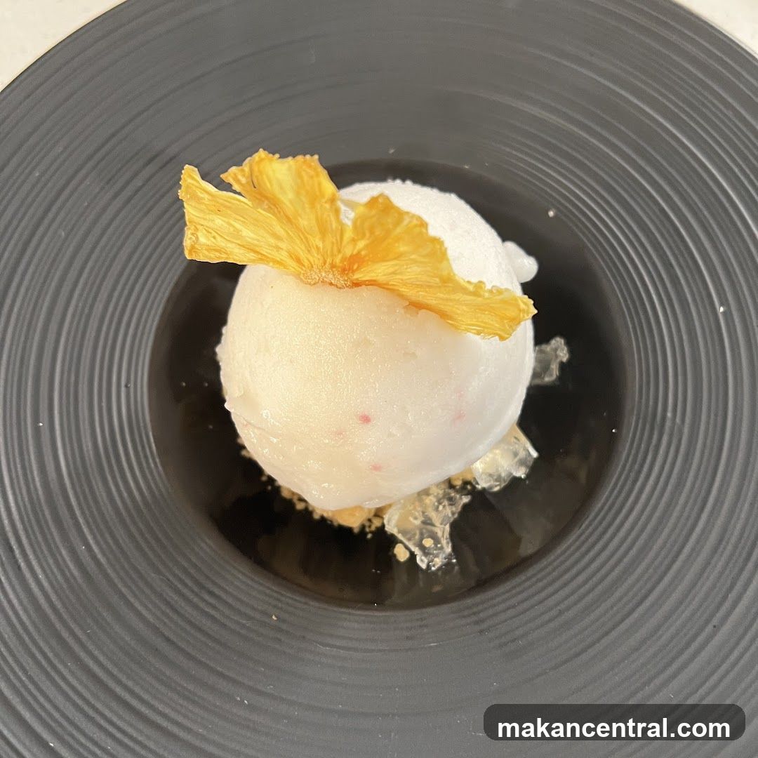Dessert with Pineapple Chip