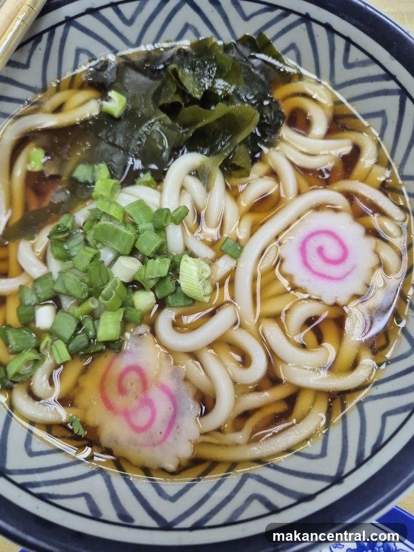 Udon Noodle Soup