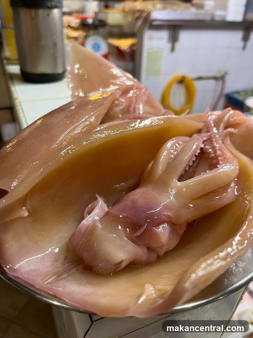 Fresh Squid on Scale