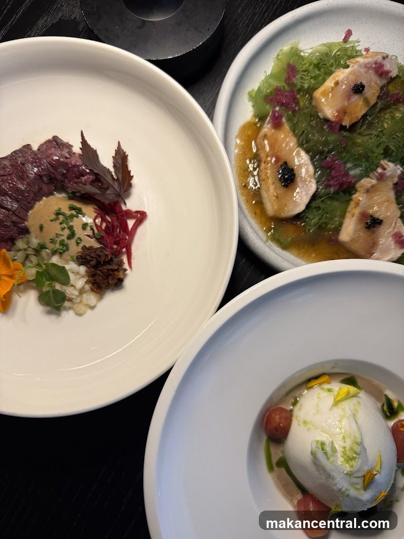 Gourmet Dishes
