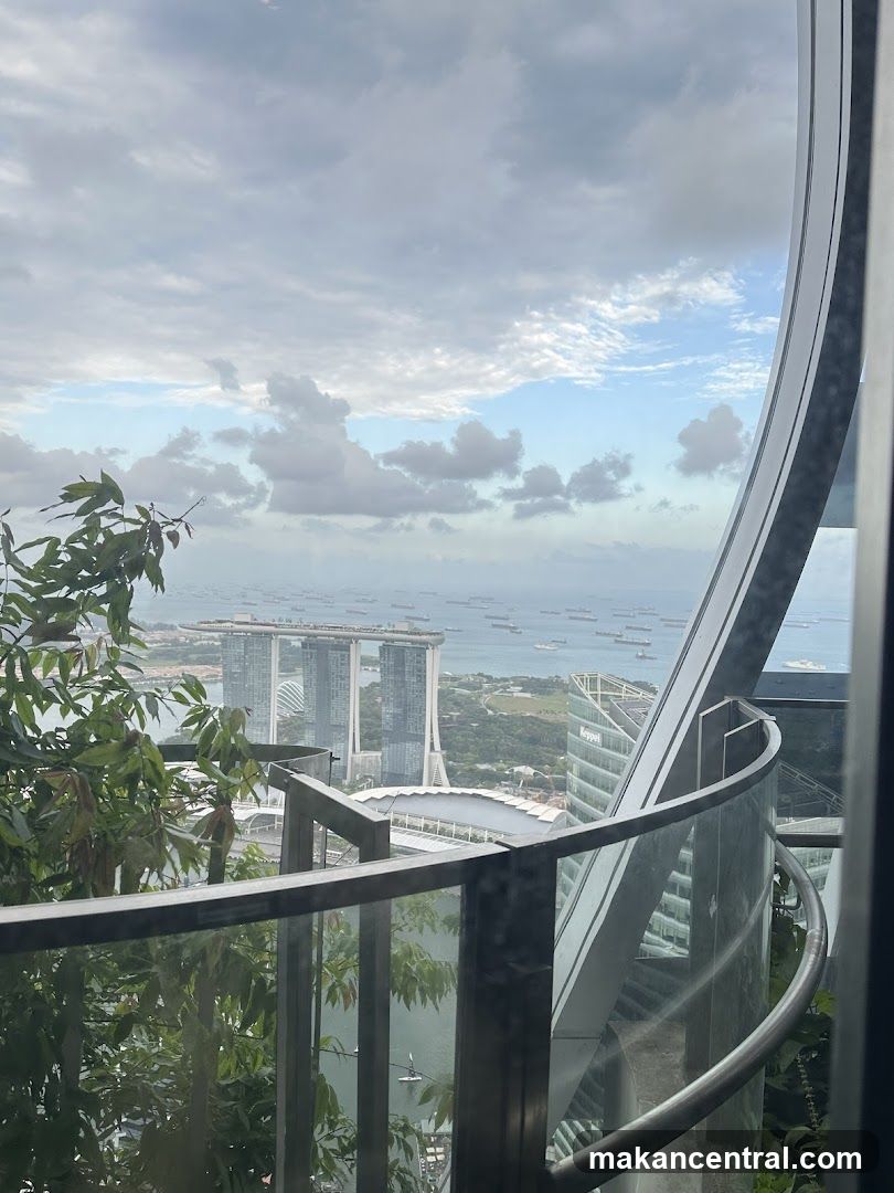 Cityscape View
