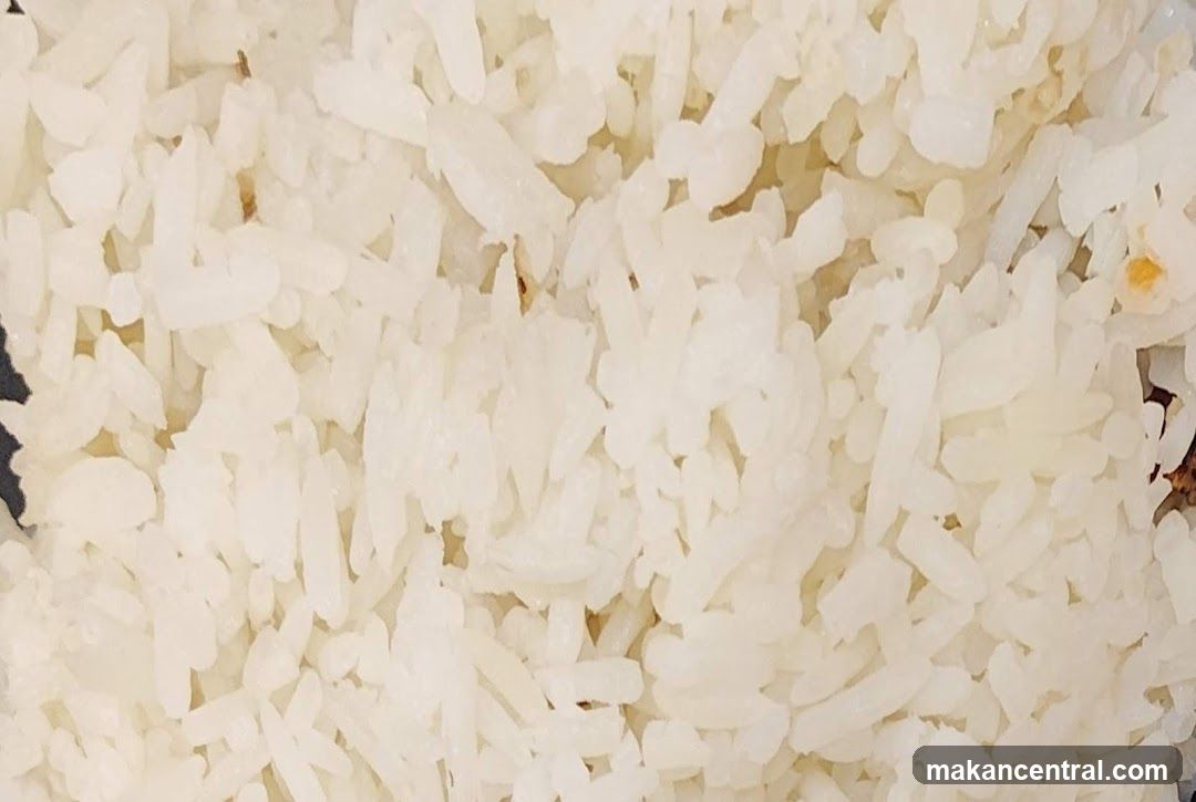 Cooked Rice