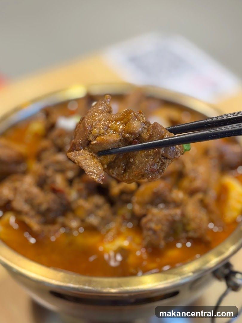 Close-up of Braised Meat Dish